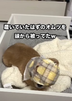 近づく