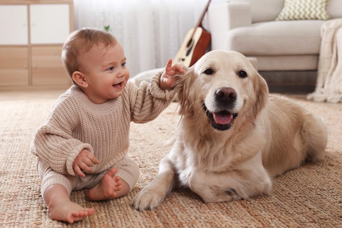 赤ちゃんのこもりをする犬