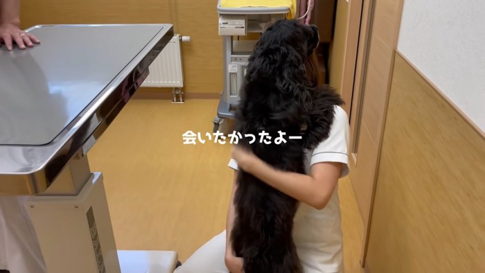 看護師さんとルークちゃん