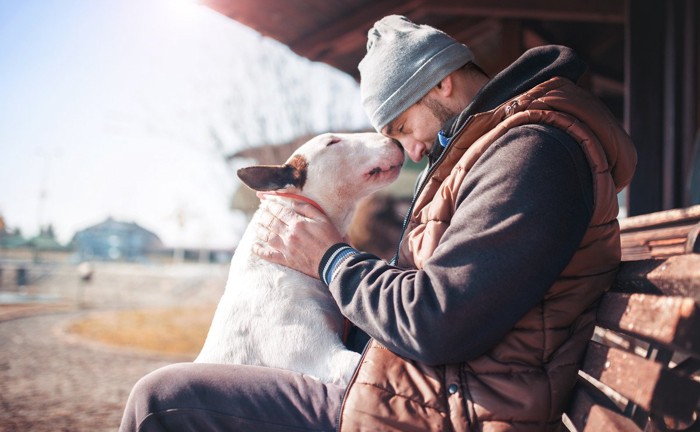 男性のおでこに鼻をつける犬