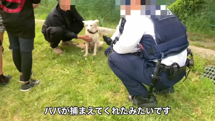 最終的に捕獲したのはパパ