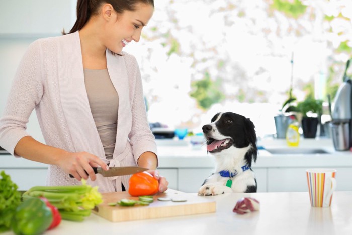 調理する飼い主を見る犬