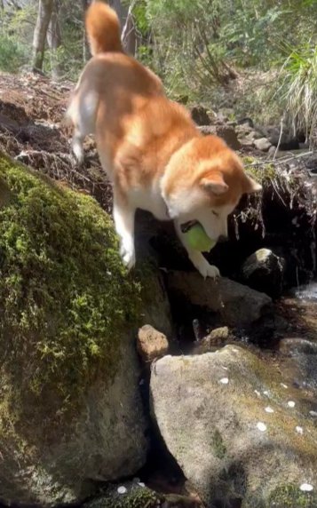 素敵な日常