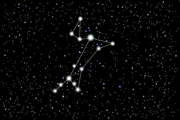 シリウス星を含む大犬座