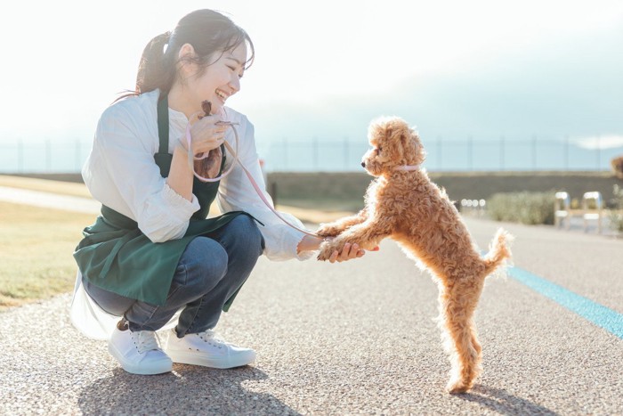 お散歩中のエプロン姿の人とトイプードル