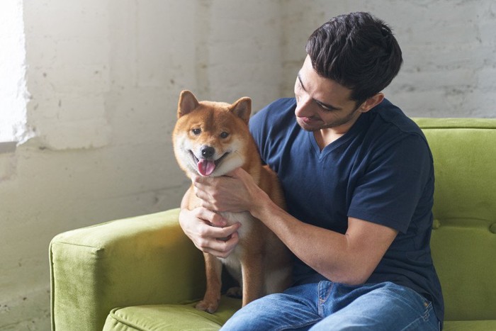 ソファで柴犬をなでる男性