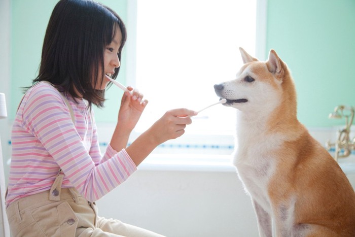 歯ブラシをくわえる犬