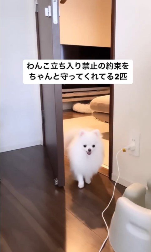 寝室を覗くぺこちゃん2