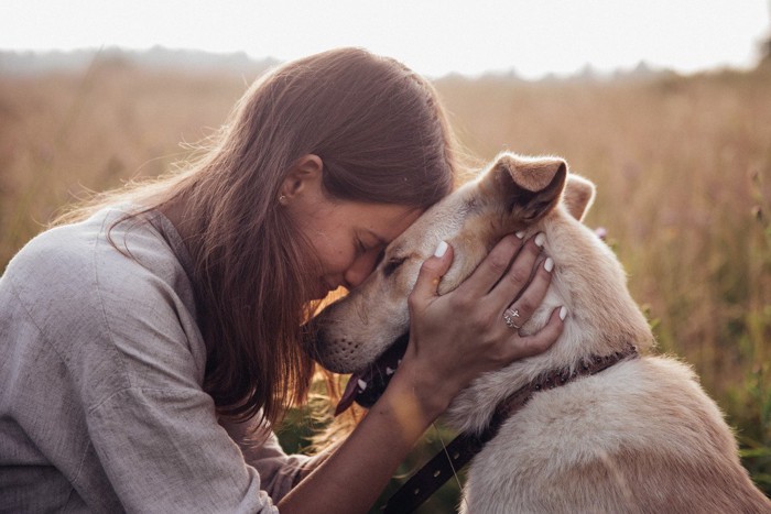 額を合わせる女性と犬