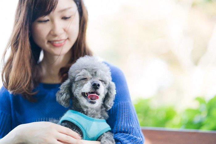 笑顔で膝の上に乗る犬