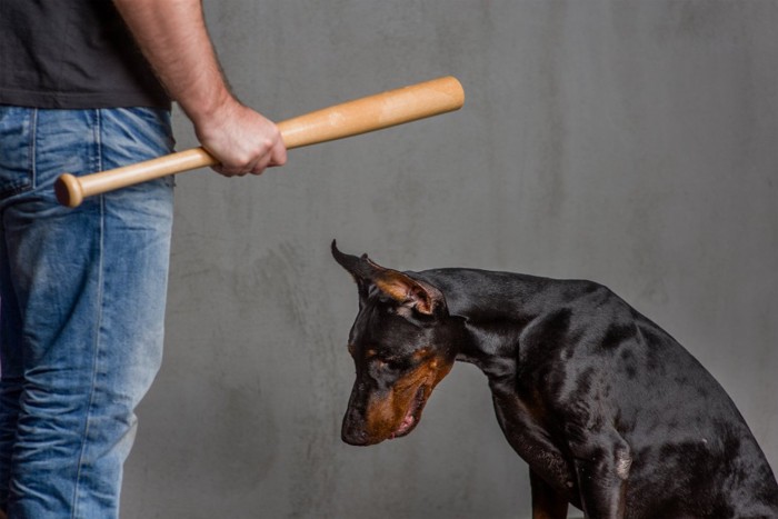 バッドを持った男性とうなだれる犬