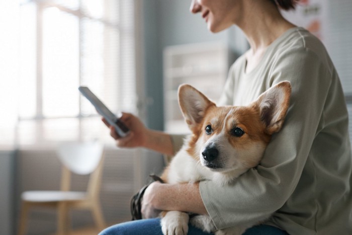 女性の腕の中で休む犬