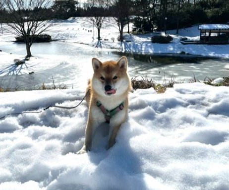 雪遊び