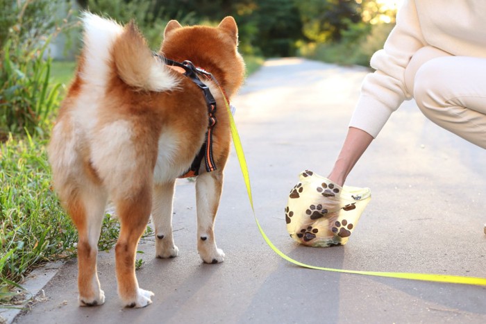 犬のウンチをとる