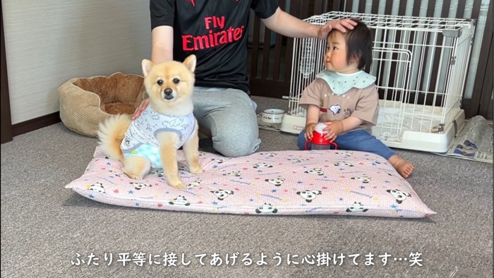 頭を撫でられる犬と赤ちゃん