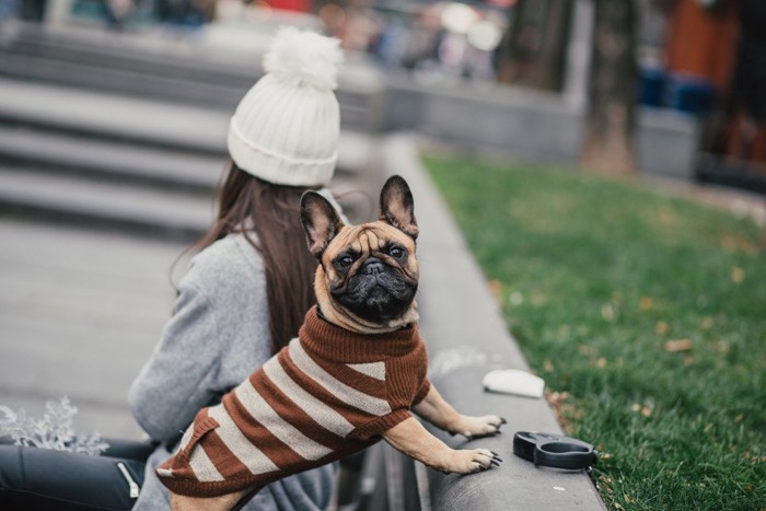 女性と冬服の犬