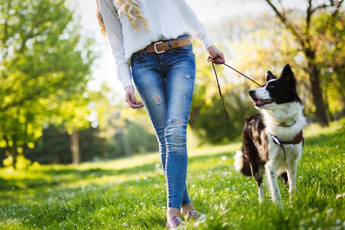 お散歩する犬と女性