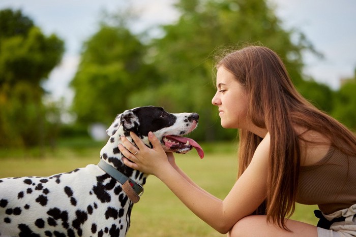 アイコンタクトで指示を出される犬