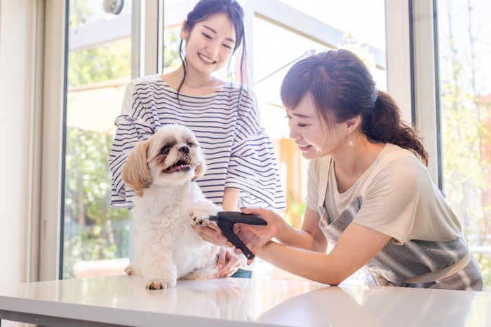 爪を切ってもらう犬と飼い主