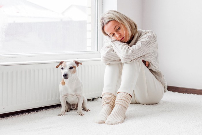 犬と膝を抱える女性