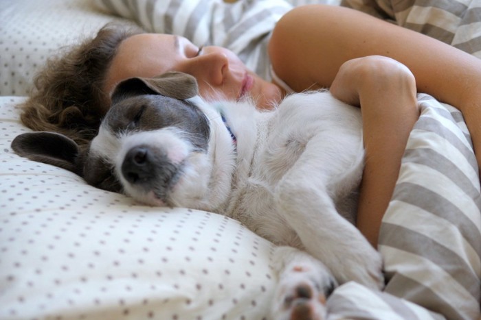 女性にハグされて寝ている犬