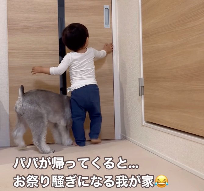 ドアの前で待つ男の子と犬