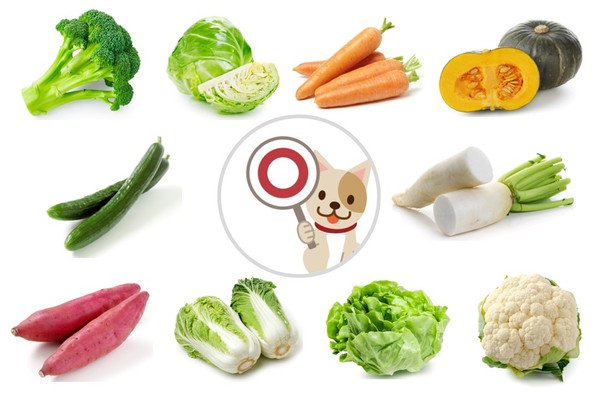 犬が食べていい野菜10選