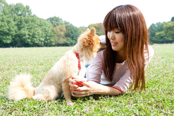 芝生の上で見つめ合う飼い主と犬