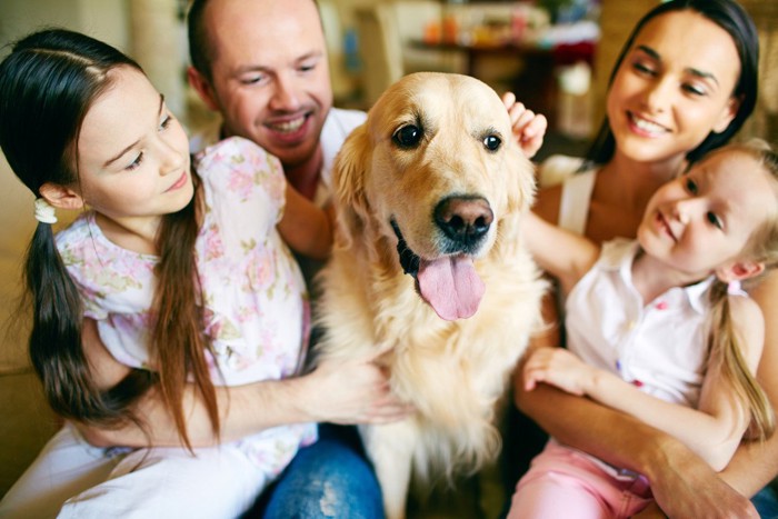 家族と一緒で楽しそうな犬