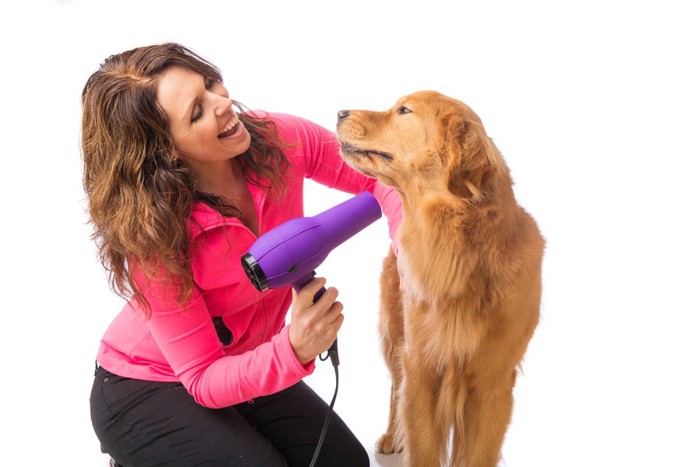 楽しそうにお手入れされる犬