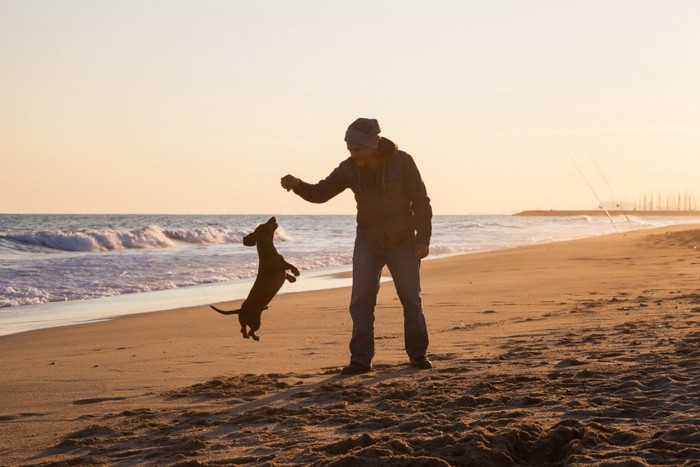 夕日の人と犬