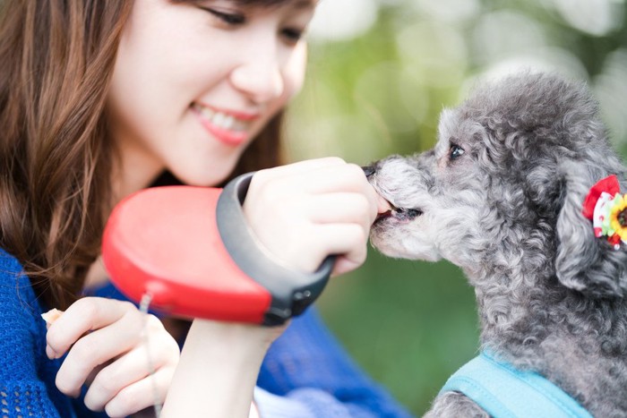 外でおやつを食べる犬