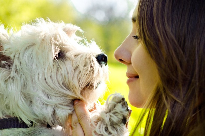 笑顔の女性を見つめる犬