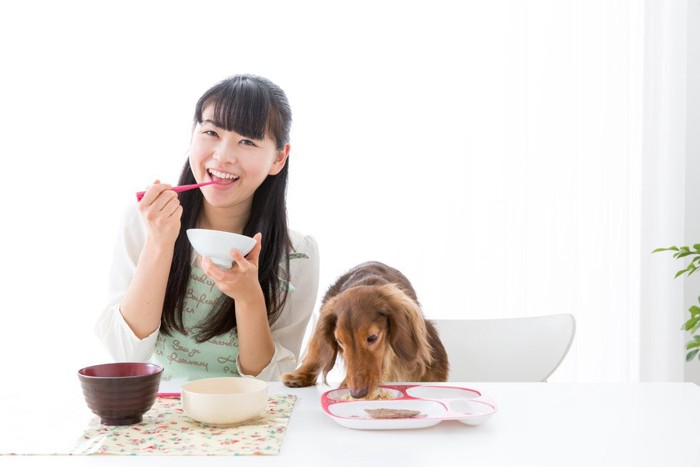 人と犬の食卓