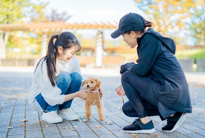 散歩中の犬と女性