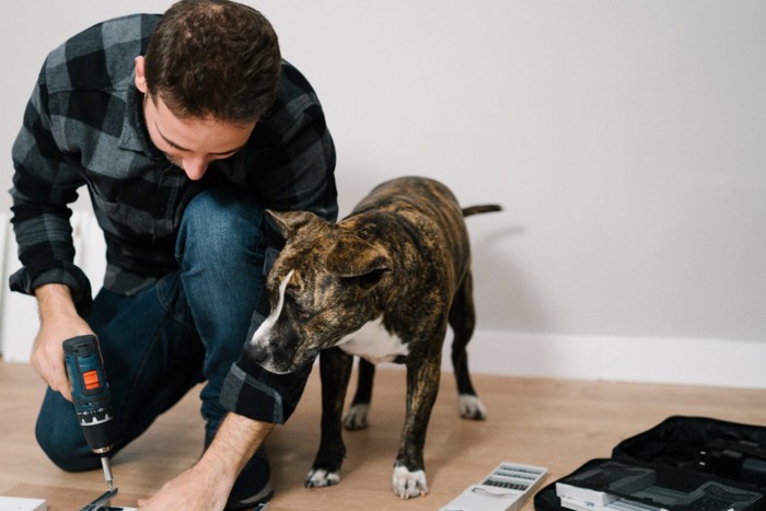 男性と犬