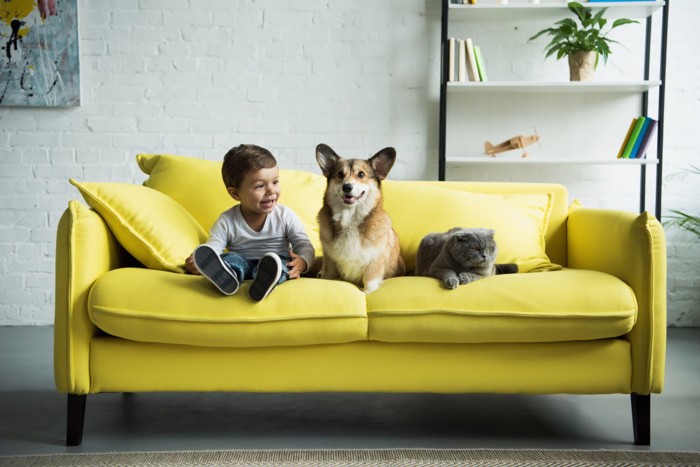 子供と犬と猫