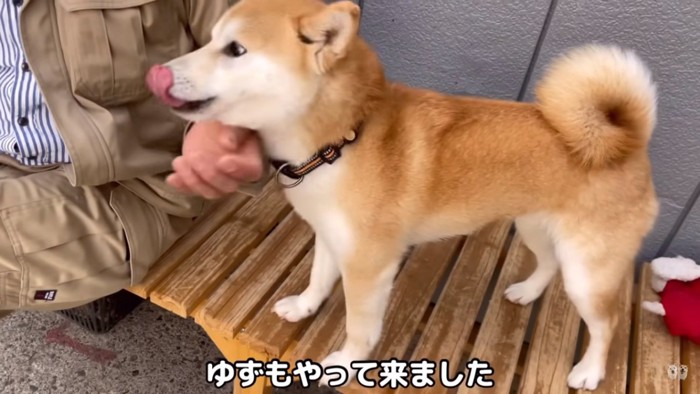 飼い主さんの横のゆずちゃん