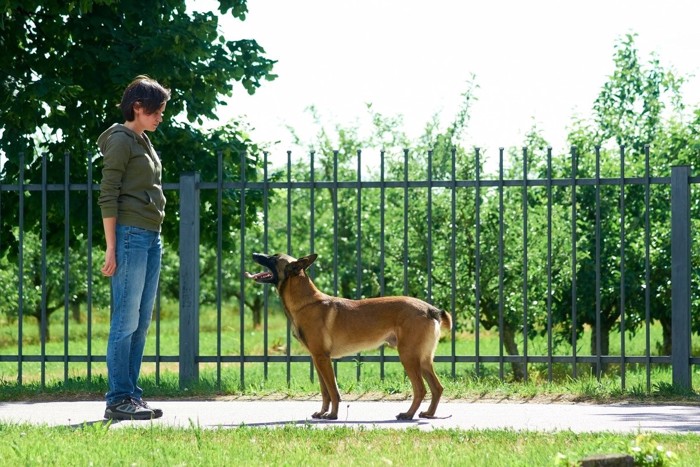 女性と犬