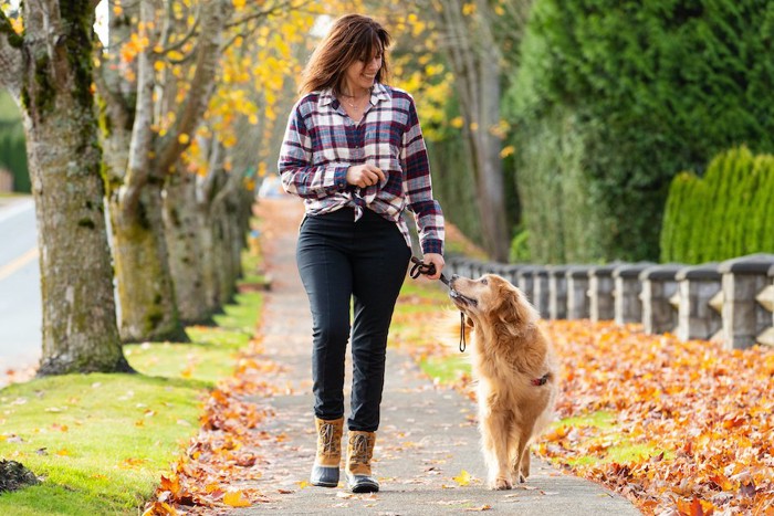 散歩中にアイコンタクトを取る女性と犬
