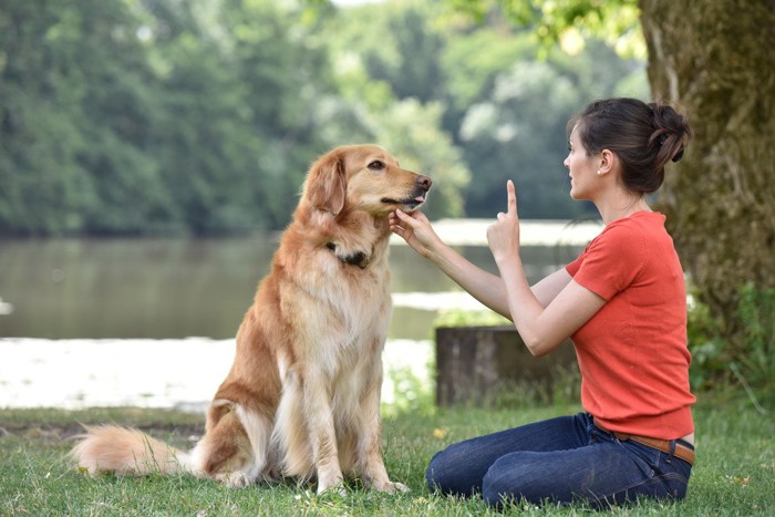 犬のしつけをする女性