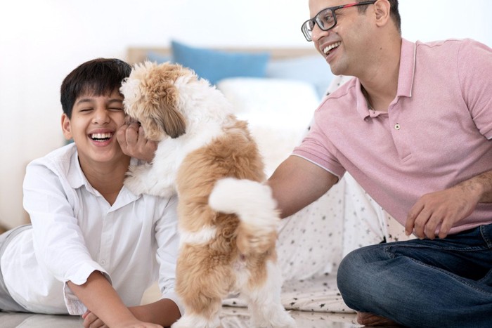 少年にじゃれている犬