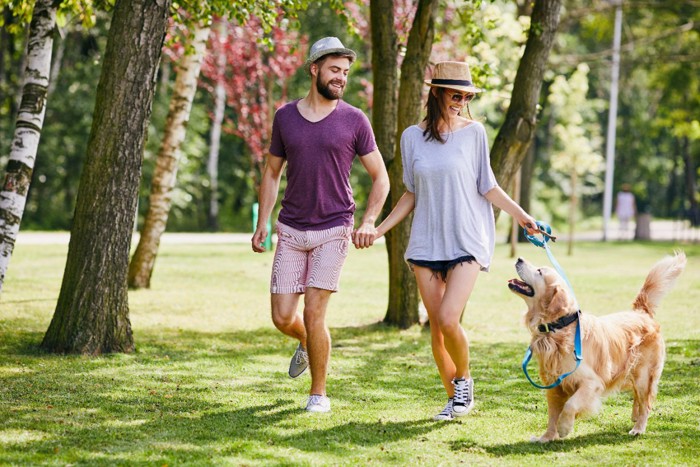 公園の中を散歩するカップルと犬