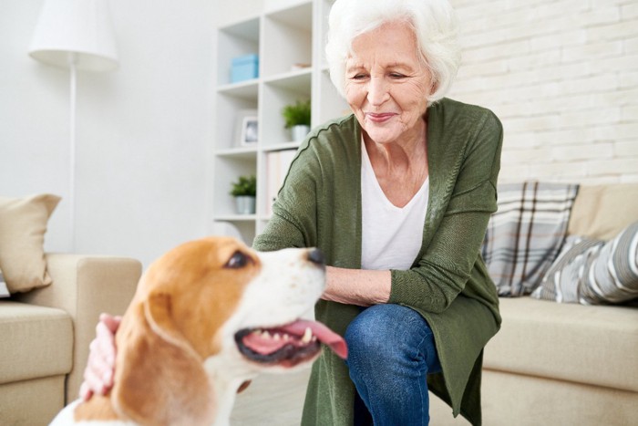 白髪の女性と犬