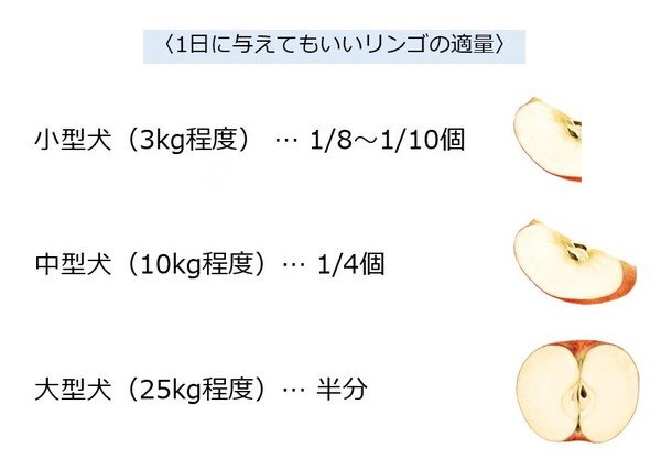 犬にりんごを食べさせる時の適量