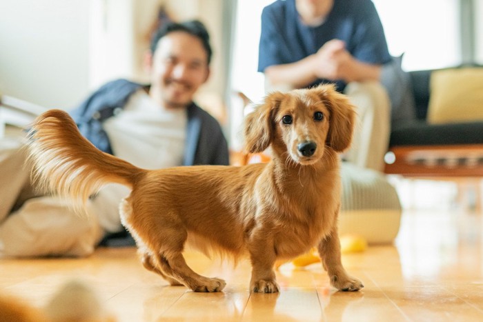 リビングにいる家族と犬