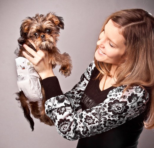 オムツをした犬と女性