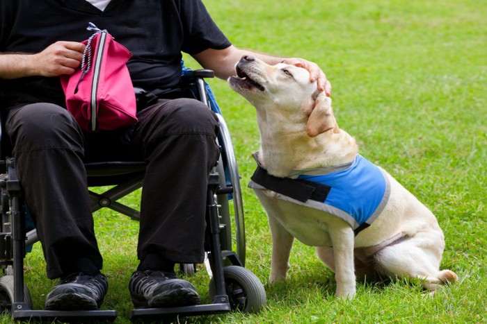 車椅子の男性と介助犬