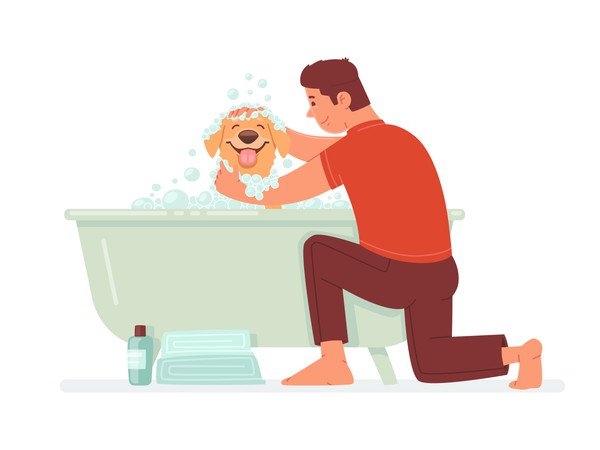 犬を自分で洗う時の注意点とコツ