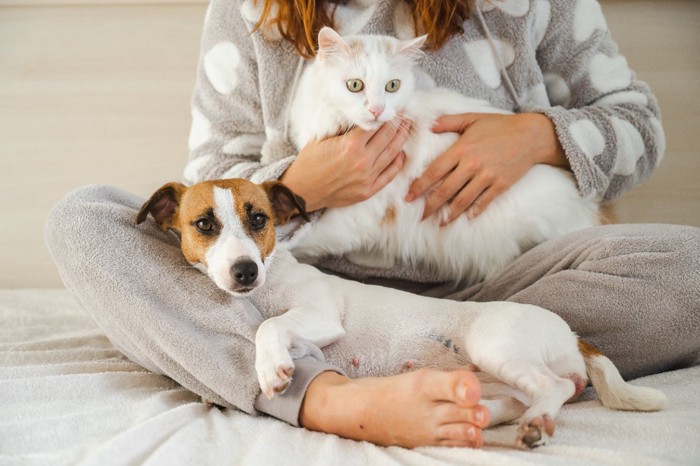 犬と猫とくつろぐ女性